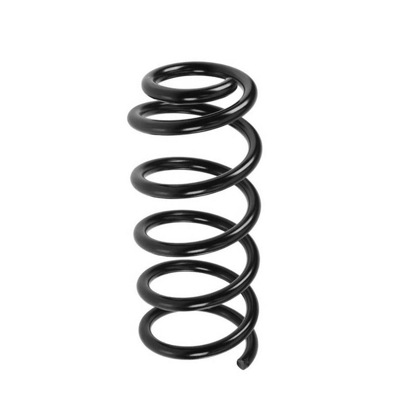 Coil Spring - Rear